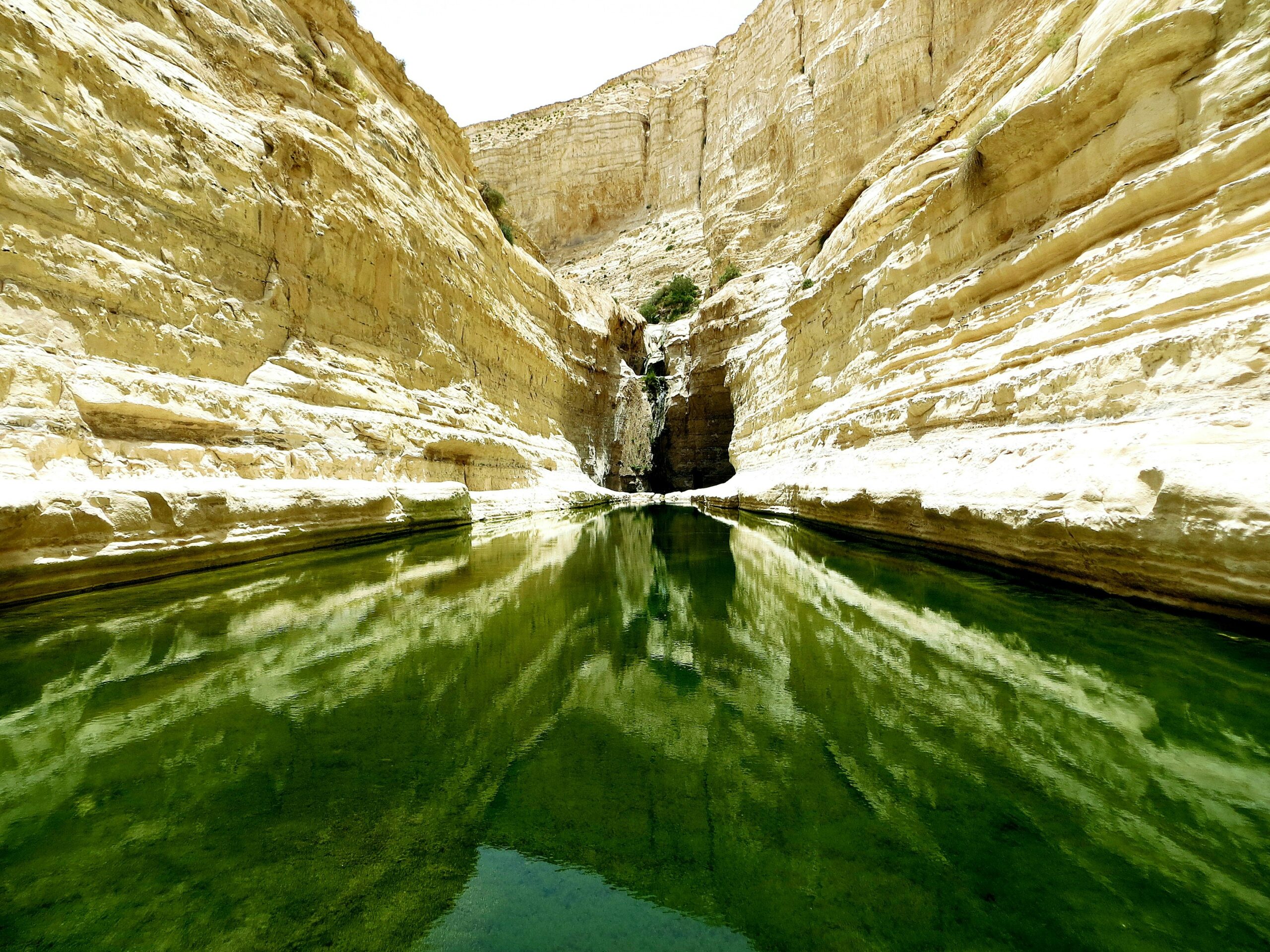 Ein Avdat_1