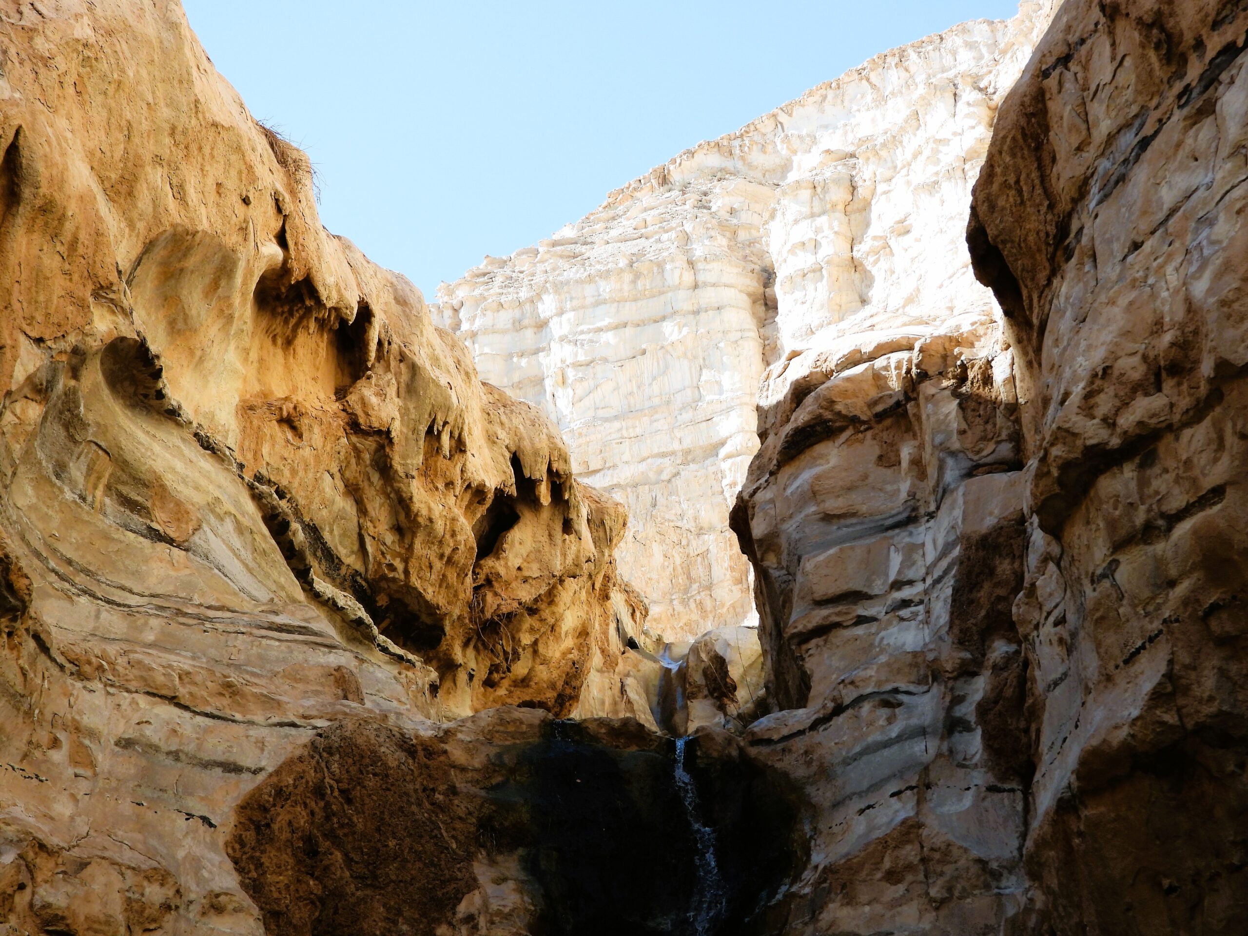 Ein Avdat_3